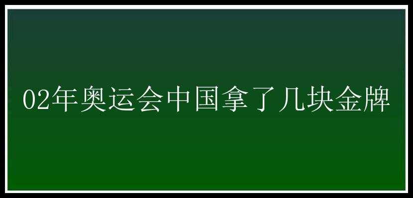 02年奥运会中国拿了几块金牌