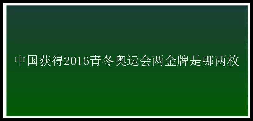 中国获得2016青冬奥运会两金牌是哪两枚