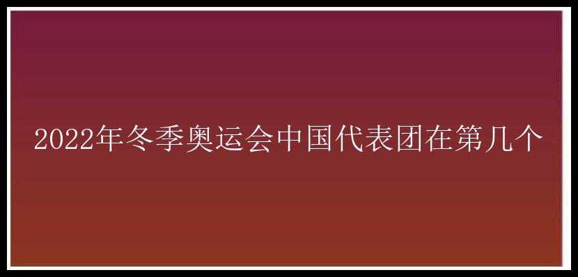 2022年冬季奥运会中国代表团在第几个