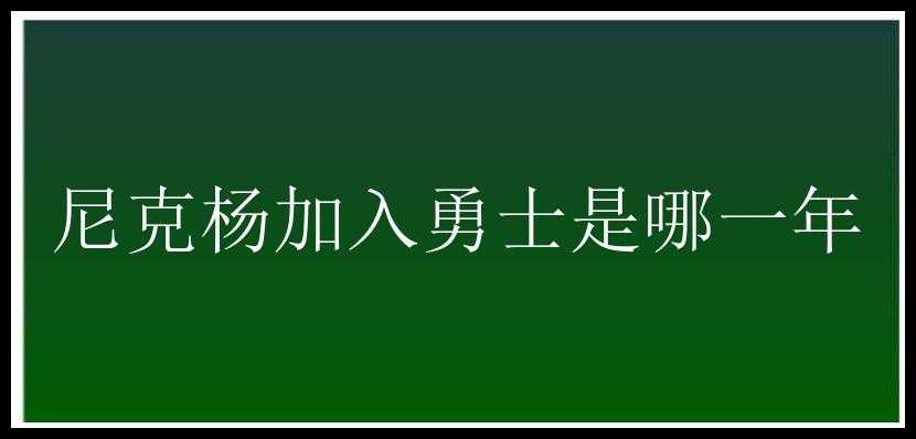 尼克杨加入勇士是哪一年