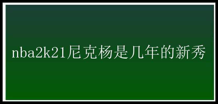 nba2k21尼克杨是几年的新秀