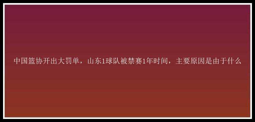 中国篮协开出大罚单，山东1球队被禁赛1年时间，主要原因是由于什么