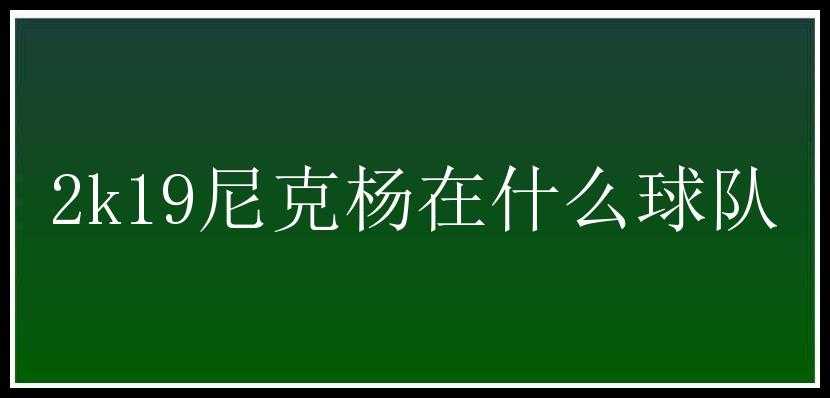 2k19尼克杨在什么球队