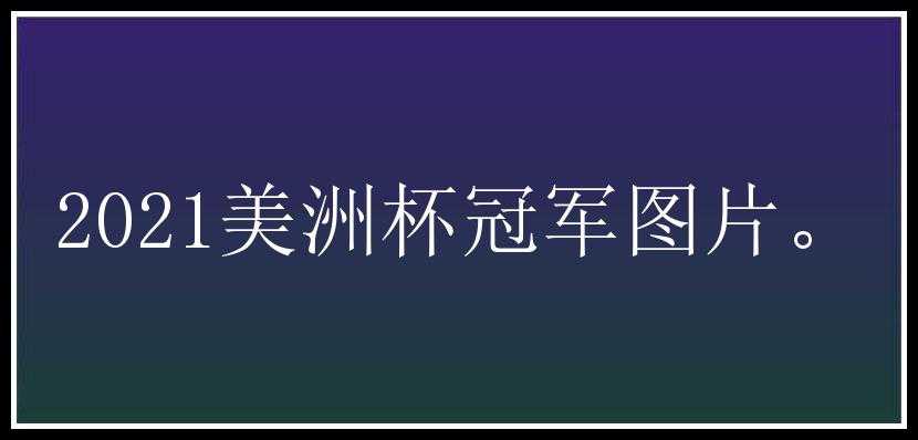 2021美洲杯冠军图片。