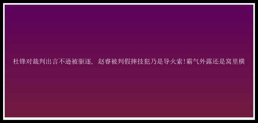 杜锋对裁判出言不逊被驱逐, 赵睿被判假摔技犯乃是导火索!霸气外露还是窝里横