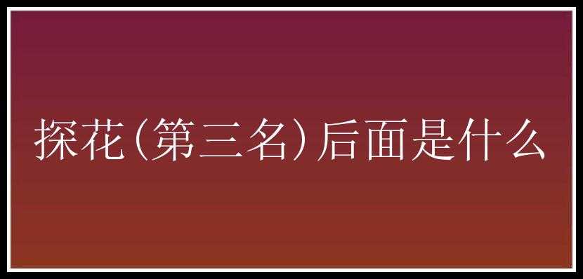 探花(第三名)后面是什么