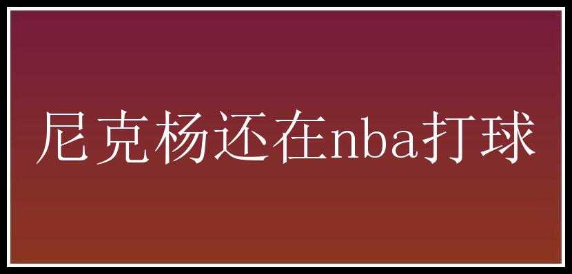 尼克杨还在nba打球