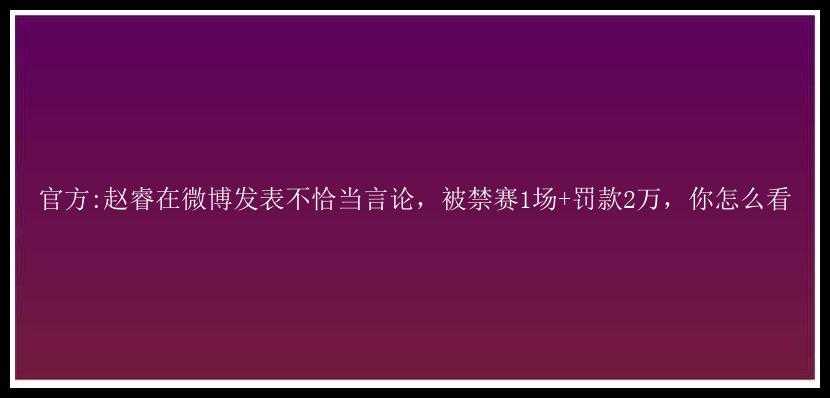 官方:赵睿在微博发表不恰当言论，被禁赛1场+罚款2万，你怎么看