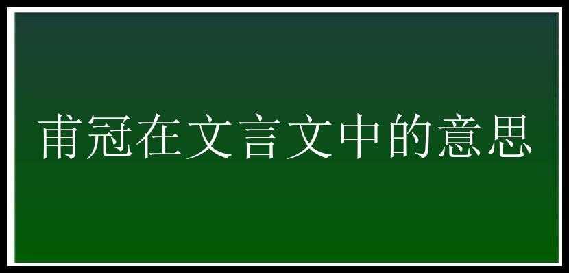 甫冠在文言文中的意思