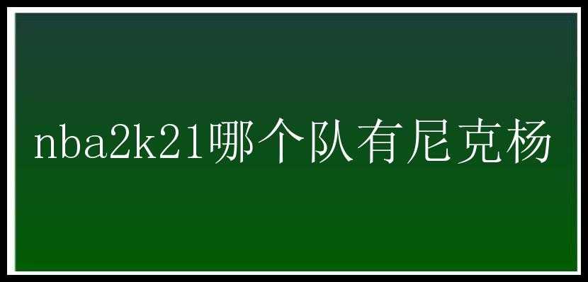 nba2k21哪个队有尼克杨