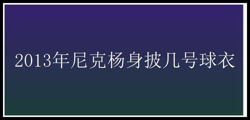 2013年尼克杨身披几号球衣