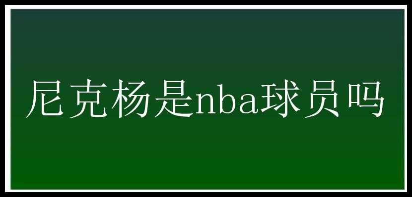 尼克杨是nba球员吗