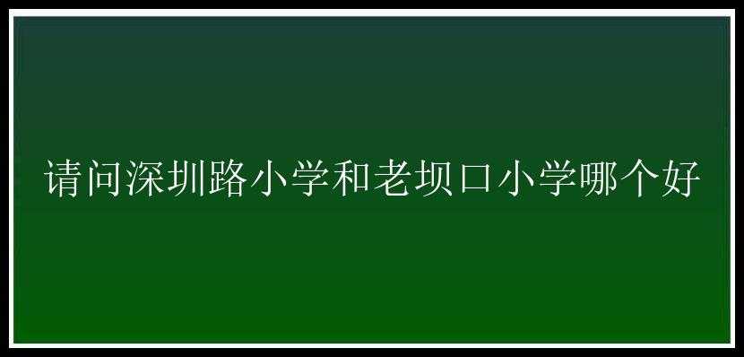 请问深圳路小学和老坝口小学哪个好