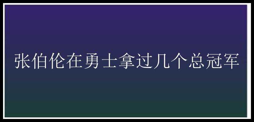 张伯伦在勇士拿过几个总冠军