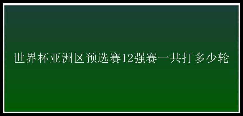 世界杯亚洲区预选赛12强赛一共打多少轮