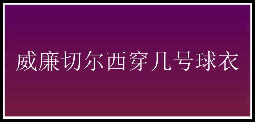 威廉切尔西穿几号球衣