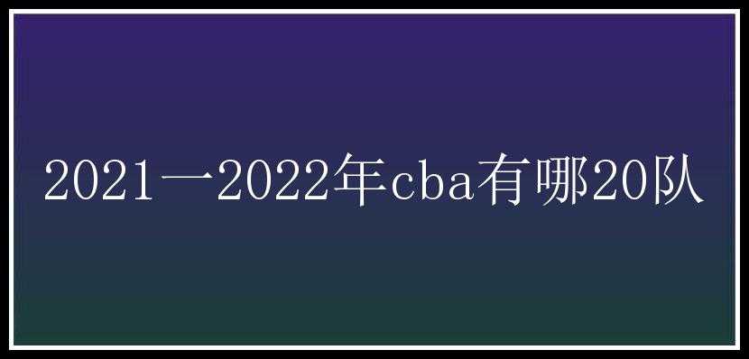 2021一2022年cba有哪20队