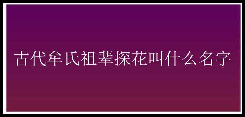 古代牟氏祖辈探花叫什么名字