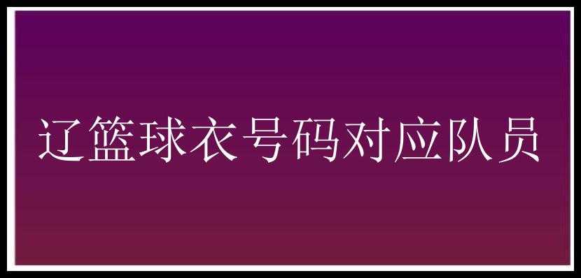 辽篮球衣号码对应队员