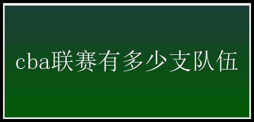 cba联赛有多少支队伍