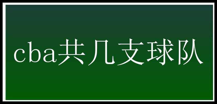 cba共几支球队