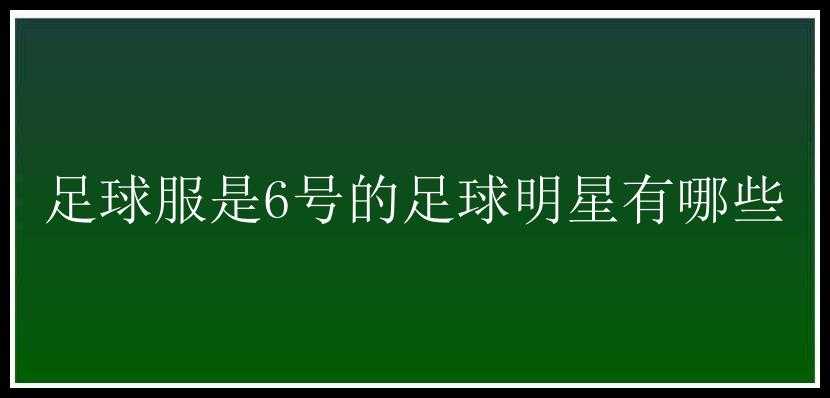 足球服是6号的足球明星有哪些