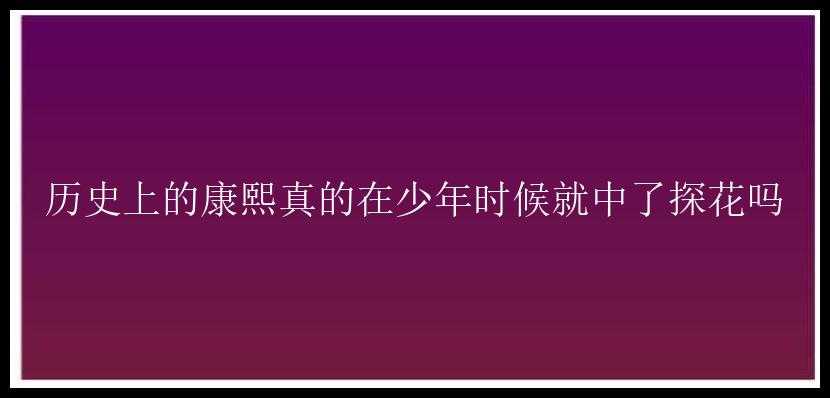 历史上的康熙真的在少年时候就中了探花吗