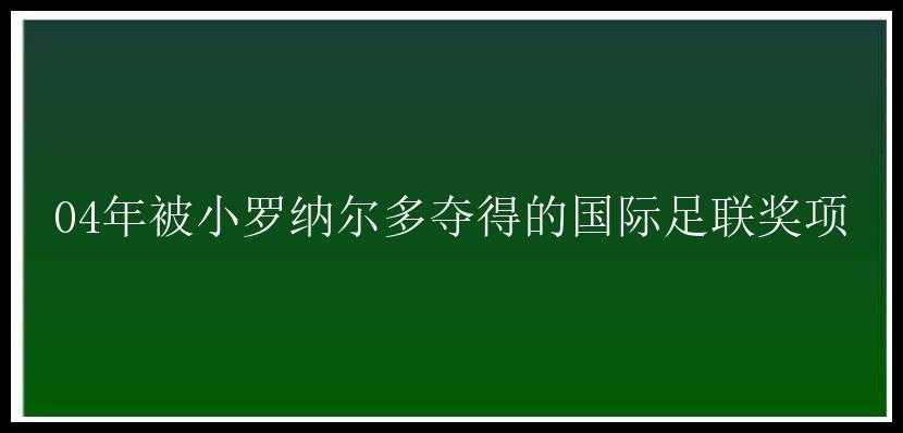 04年被小罗纳尔多夺得的国际足联奖项