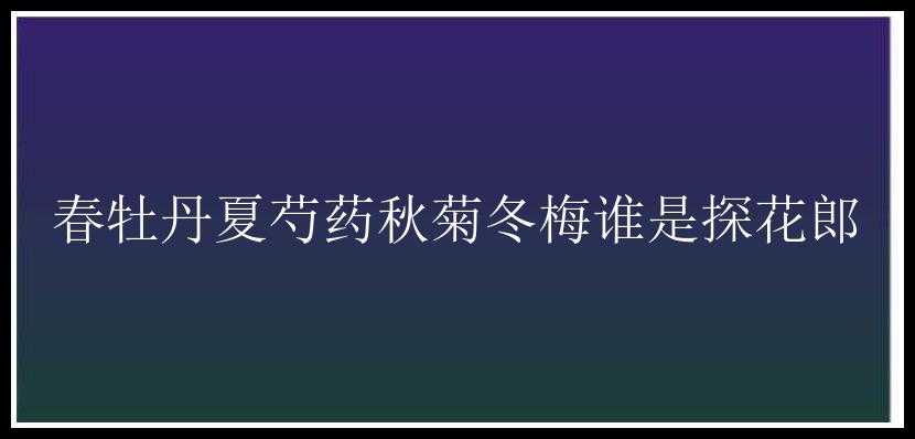 春牡丹夏芍药秋菊冬梅谁是探花郎