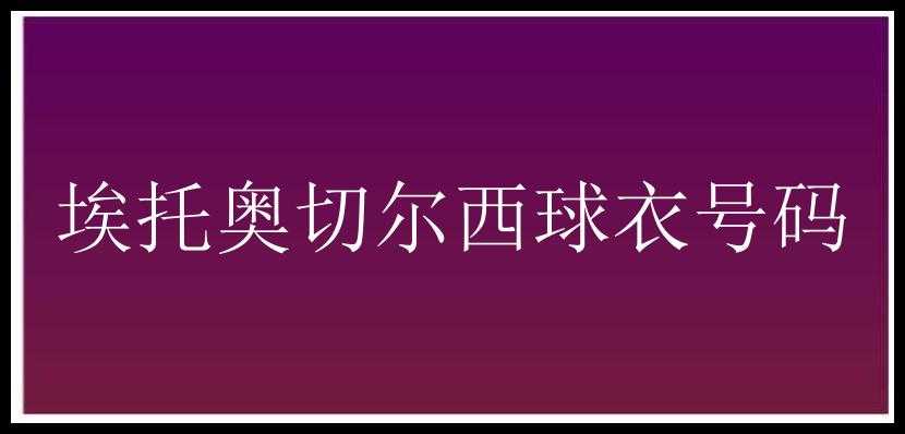 埃托奥切尔西球衣号码