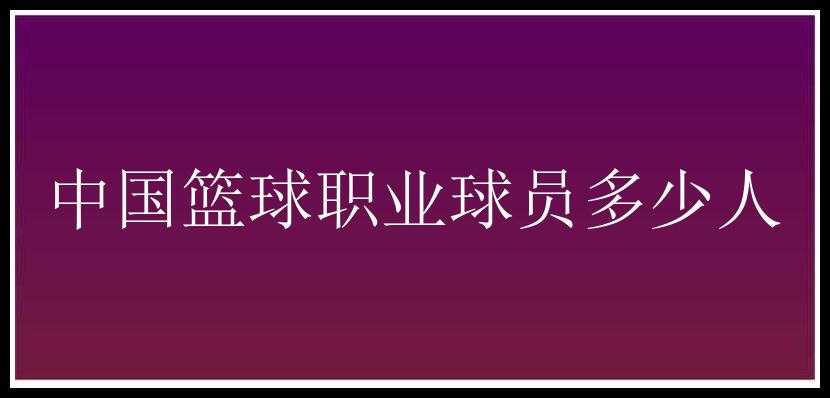 中国篮球职业球员多少人