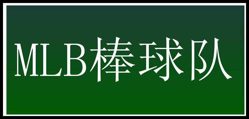 MLB棒球队