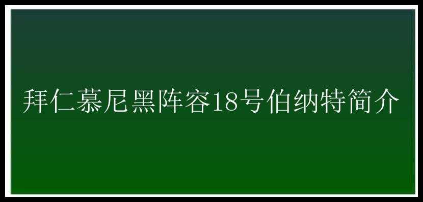 拜仁慕尼黑阵容18号伯纳特简介