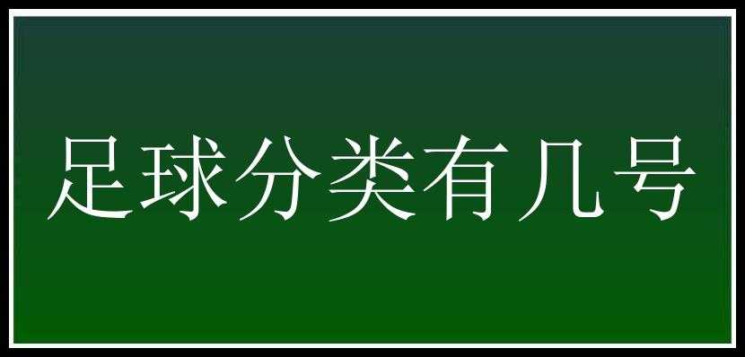 足球分类有几号