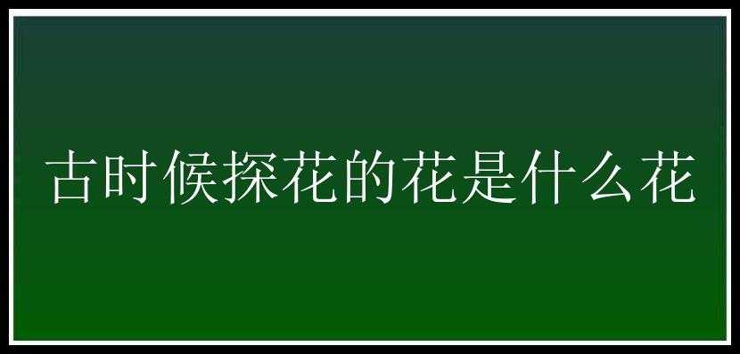 古时候探花的花是什么花