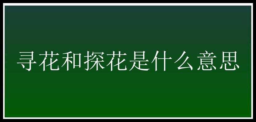 寻花和探花是什么意思