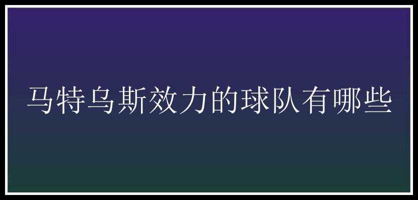 马特乌斯效力的球队有哪些