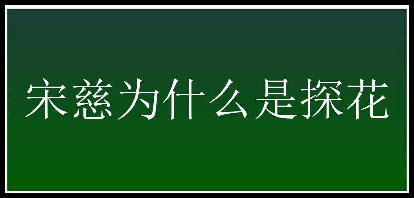 宋慈为什么是探花