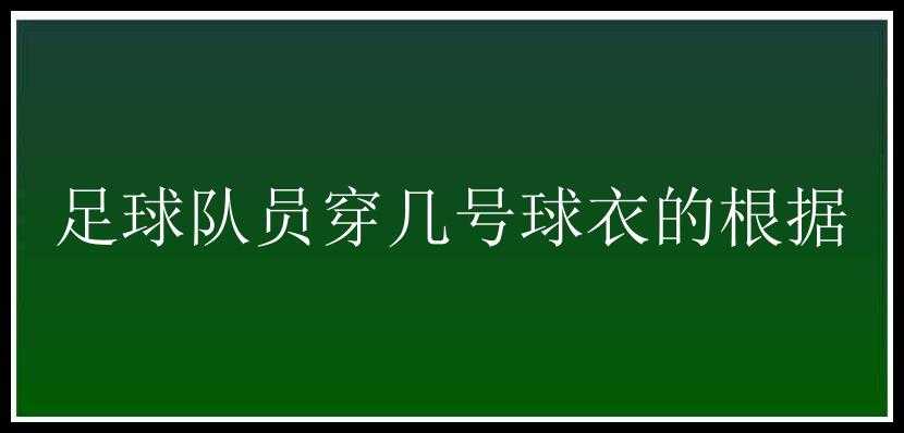 足球队员穿几号球衣的根据