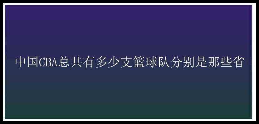 中国CBA总共有多少支篮球队分别是那些省