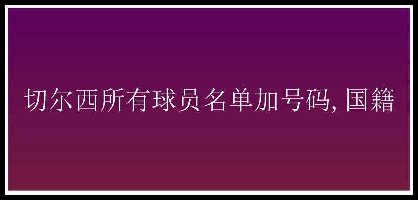 切尔西所有球员名单加号码,国籍