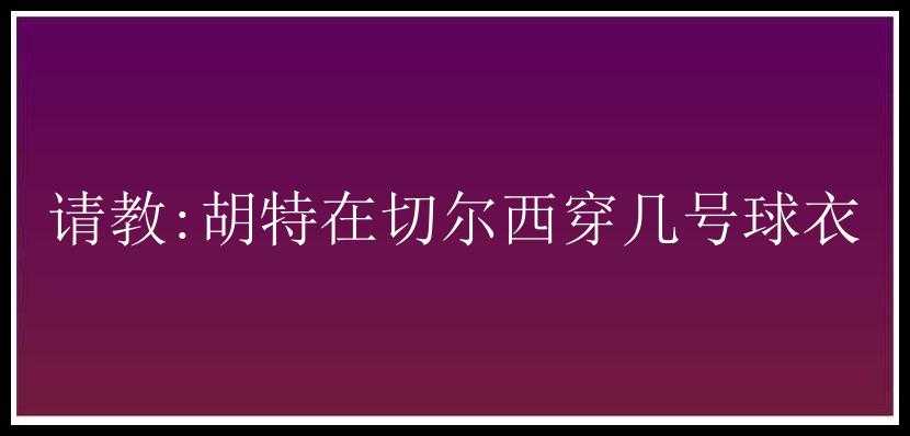 请教:胡特在切尔西穿几号球衣