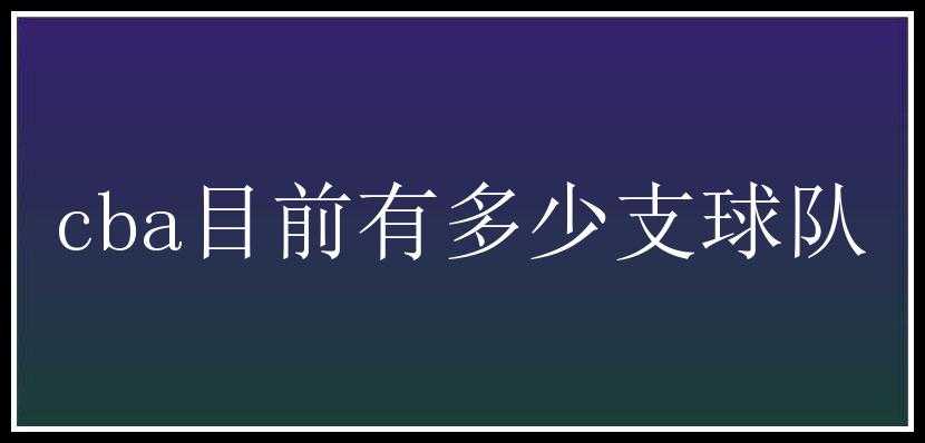 cba目前有多少支球队