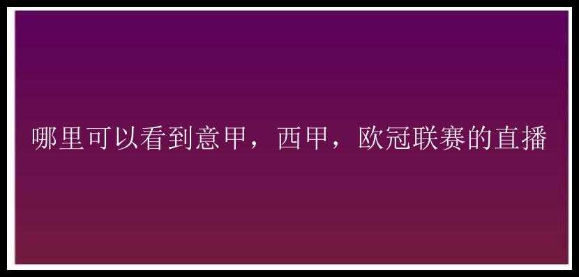 哪里可以看到意甲，西甲，欧冠联赛的直播