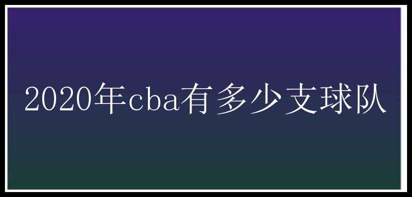 2020年cba有多少支球队