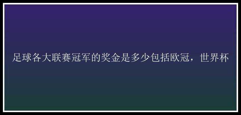 足球各大联赛冠军的奖金是多少包括欧冠，世界杯