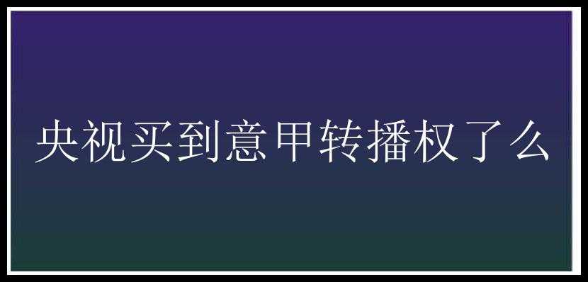 央视买到意甲转播权了么