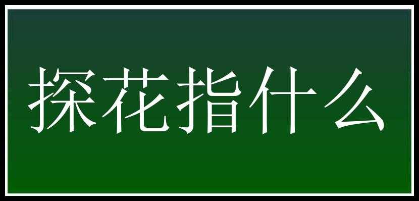 探花指什么