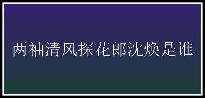 两袖清风探花郎沈焕是谁