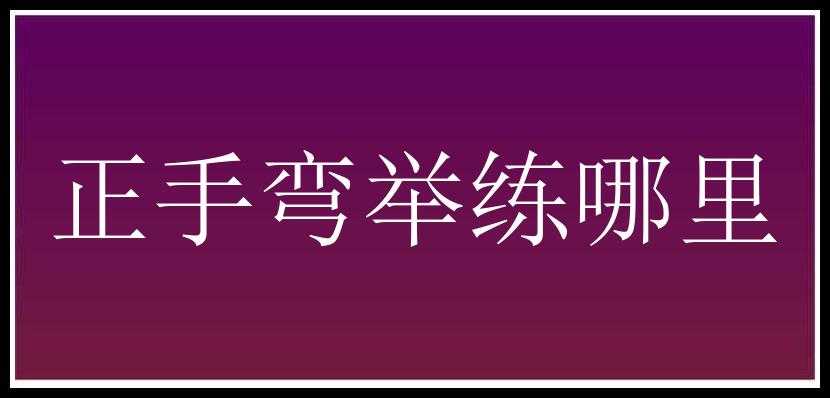 正手弯举练哪里